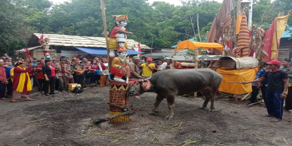 Ini 8 Upacara Pemakaman Unik di Indonesia Salah Satunya 