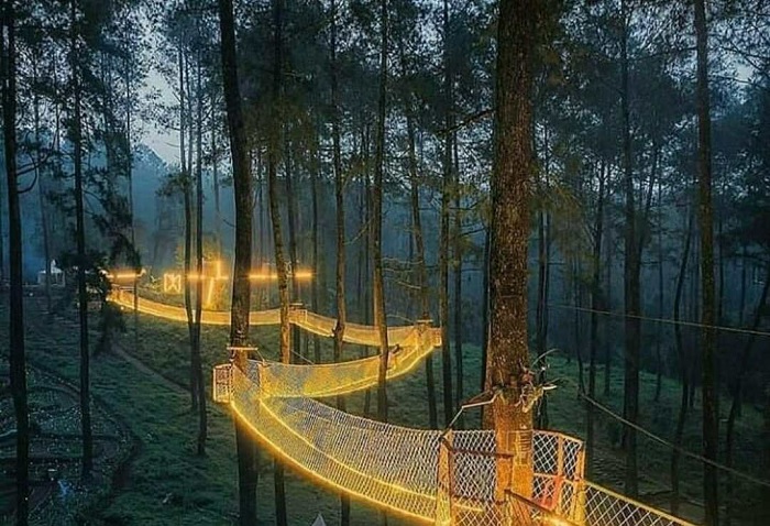 Orchid Forest Cikole, Wisata Terdekat di Bandung yang Instagramable