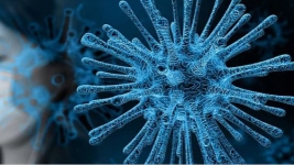 Tewaskan Ribuan Orang, WHO Umumkan Virus Corona Ancaman Besar Dunia