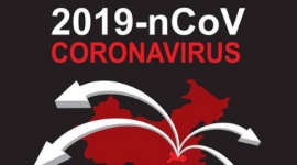Mesir Konfirmasi Kasus Pertama Virus Corona di Afrika