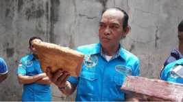 BNN Bongkar 1 Ton Ganja Dari Aceh Di Bampu Apus 