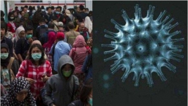 WHO Tak Terkejut Saat Indonesia Melaporkan Terinveksi Virus Corona