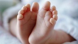Geger! Bayi Baru Lahir Diduga Dilempar Ibu ke Atap Rumah di Mojokerto