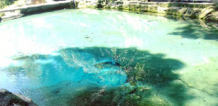 Manigom Nauli, Kolam Biru Jernih dari Tiga Sumber Mata Air di Simalungun