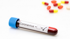 Prancis Tegaskan Tidak Ada Bukti Virus Corona Berasal dari Lab Wuhan