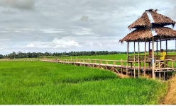 Pesona Keindahan Paloh Naga, Spot Agrowisata yang Favorit di Sumut