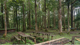 Wow! Cagar Alam di Sumatera Utara Ini Ternyata Kawasan Konservasi Tertua di Indonesia