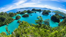 Penangkapan Ikan Ilegal Marak Terjadi di Area Wisata Raja Ampat Selama Pandemi