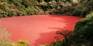 Danau Rimba Candi, Berwarna Merah Darah dan Berbau Pandan pada Malam Hari, Unik atau Mistis?