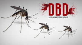 Kasus DBD di Tengah Pandemi: Tercatat 53, 600 Kasus, Jabar Tertinggi