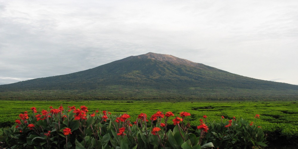 Mengenal Gunung Kerinci, Gunung Tertinggi di Pulau Sumatera dari Provinsi Jambi