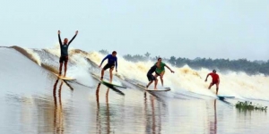 Keganasan Ombak Bono Sungai Kampar, Lokasi Spot Surfing Terbaik di Dunia