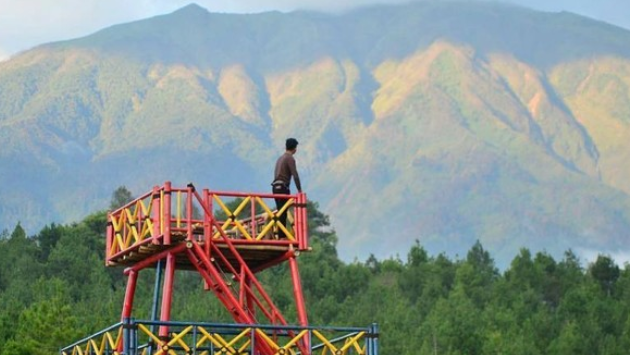 Keindahan Tersembunyi, Hutan Pinus Kragilan di Magelang Punya Top Selfie Spot