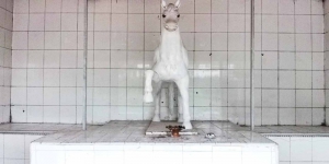 Sudah Zaman NOW, Patung Keramat Kuda Putih di Serdang Bedagai ini Masih Dipercaya Membawa Keberuntungan