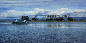 Pulau Tao, Pulau Indah dan Jadi Surga Burung Bangau yang Terlupakan di Samosir