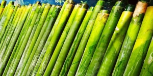 Binarundak di Sulut, Tradisi Membakar Nasi Jaha Menggunakan Bambu saat Lebaran