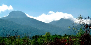 Gunung Bawang di Kalbar, Gunung yang Dikeramatkan Suku Dayak Populer di Kalangan Pendaki