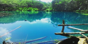 Danau Bak Blau di Bengkulu, Danau tidak Pernah Kering Dihuni Sepasang Buaya Berwarna Putih 