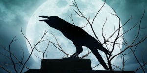 Ini 7 Hewan Pertanda Adanya Hantu dan Datangnya Kematian, Salah Satunya Burung Gagak