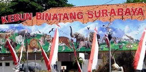 PSBB Berakhir, Kebun Binatang Surabaya Perpanjang Penutupan hingga Pertengahan Juni