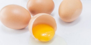 Sulit Bedakan Telur Infertil dan Telur Konsumsi? Ini Penjelasan Kementan