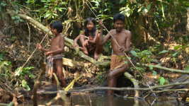 Mengenal Suku Sakai, Suku Nomaden Asal Riau yang Bergantung Pada Hutan