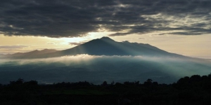 Seram! Kisah Mistis Ada Seekor Babi Hutan Sebesar Truk Tronton di Gunung Salak