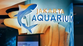Setelah Tutup Beberapa Bulan, Jakarta Aquarium Buka Kembali dengan Protokol Kesehatan