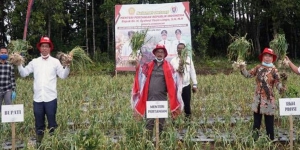 Mentan Apresiasi Gubernur Sumut Bangkitkan Pertanian di Masa Pandemi Covid