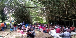 Pohon Bambu di Hampong Trieng Pantang Aceh, Tempat Kegiatan Religi Dibumbui Aura Mistis