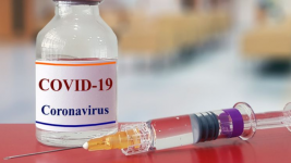 Ada 17 Calon Vaksin Corona yang Dikeluarkan WHO, yang Akan Masuk Uji Klinis