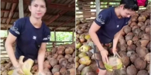 Viral Wanita Cantik Pengupas Kelapa, Netizen: Hati-hati Tertusuk
