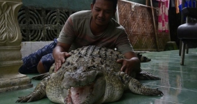 Kisah Unik Buaya di Bogor Titikkan Air Mata Saat Ada Orang Curhat Didepannya