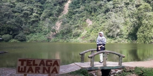 Telaga Warna di Bogor, Tempat Wisata Unik yang Airnya Dapat Berubah Warna dan Dihuni 2 Ekor Ikan Purba yang Punya Mitos