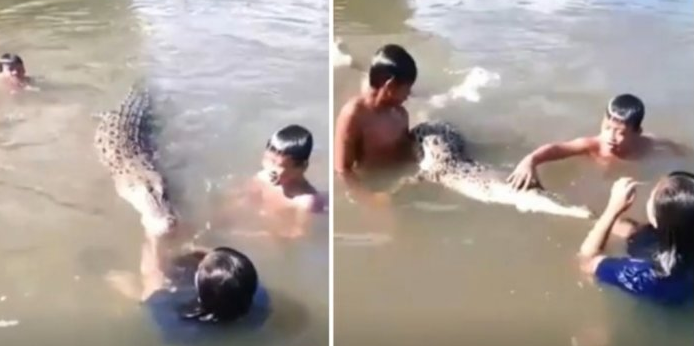 Viral! Bocah-Bocah Ini Berani Berenang Bersama Buaya