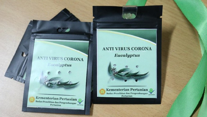 Kementan Bongkar Rahasia Eucalyptus Jadi Kalung 'Antivirus' Corona