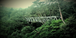 Merinding! Jembatan Penghubung Malang-Surabaya ini Dihuni Hantu Pemandu Jalan Menuju Kematian