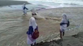 Viral! Demi Berangkat Sekolah,  Murid di Pulau Seram, Maluku, Menyeberangi Sungai 