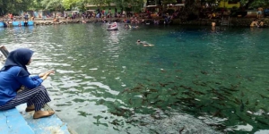 Pemandian Banyu Biru di Pasuruan, Kolam Dihuni Ratusan Ikan Tombro dan Airnya Dipercaya Sebagai Obat