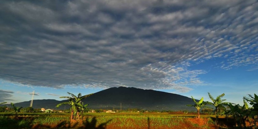 Cerita Misteri dari Salah Satu Kades di Sukabumi yang Sempat Hilang Kontak di Hutan Gunung Salak