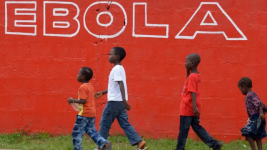 Fakta-fakta Kasus Ebola di Kongo yang Terus Meningkat