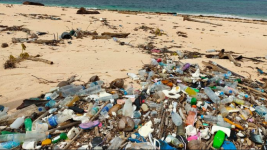 Sampah Plastik Akan Menumpuk 710 Ton Pada 2040, Ini Kata Ahli
