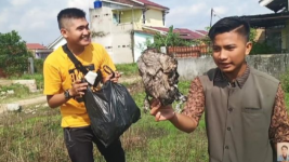 Prank Daging Kurban Sampah Settingan Berujung Petaka, Youtuber Edo Putra Terancam 'Nginep' 10 Tahun