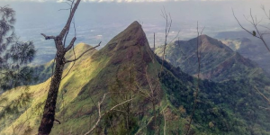 Kronologi Tewasnya Pelajar di Tebing Gunung Piramid Bondowoso: Jatuh ke Jurang