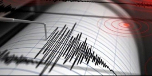 Cek Fakta: Gempa 6,9 Magnitudo di NTT, Tidak Berpotensi Tsunami