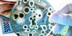 Ini Bakteri Berbahaya yang Ada pada Uang Koin dan Kertas, Serang Imun Tubuh