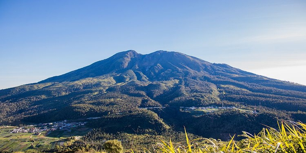 Kisah Misteri Siluman Macan Putih yang Konon Penunggu di Lereng Gunung Lawu Karanganyar