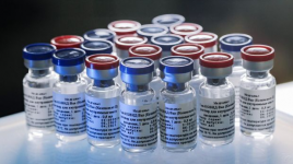 WHO Sebut Vaksin Corona Belum Tentu Disebar Awal 2021