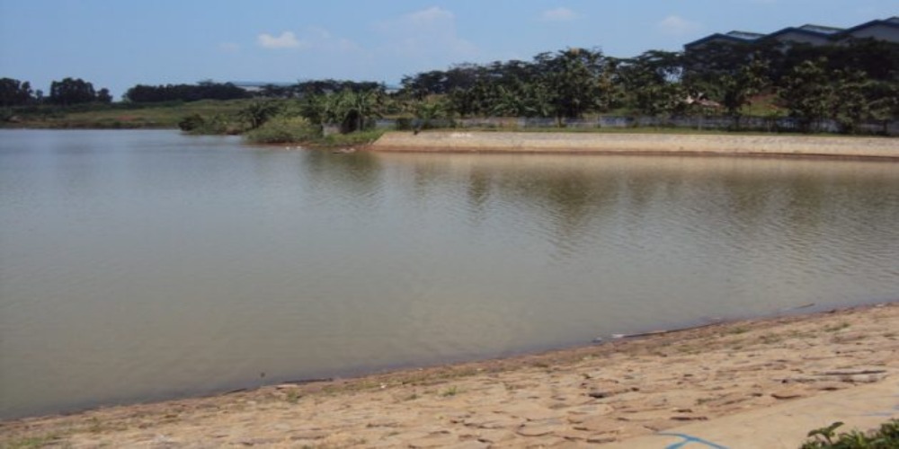 Mitos Tentang Situ Kamojing, Benarkah di Situ ini Terdapat Buaya Buntung?