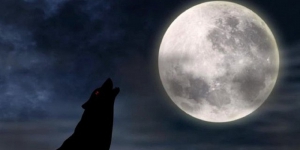 Manusia Sering Mimpi Buruk Saat Bulan Purnama, Benarkah?